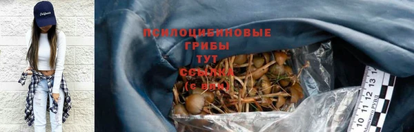 МДМА Богородицк
