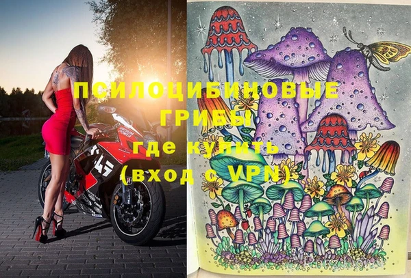 кокаин перу Богданович